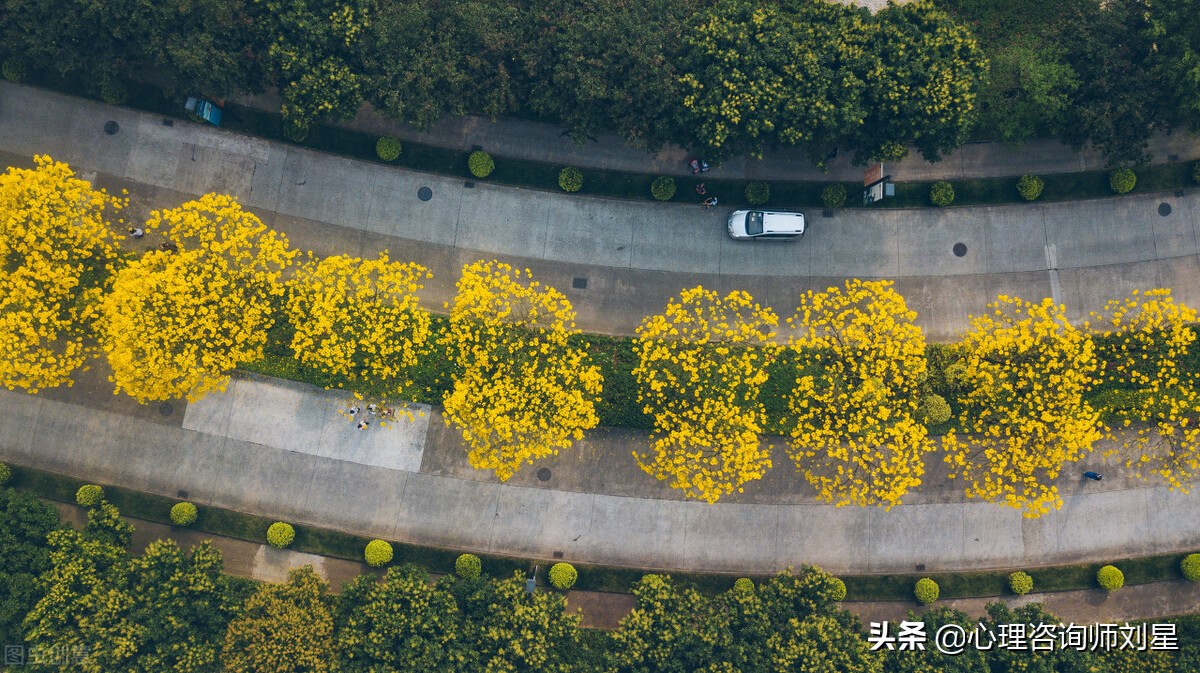 失眠症怎么治愈最有效的方法,我是如何治愈失眠症的