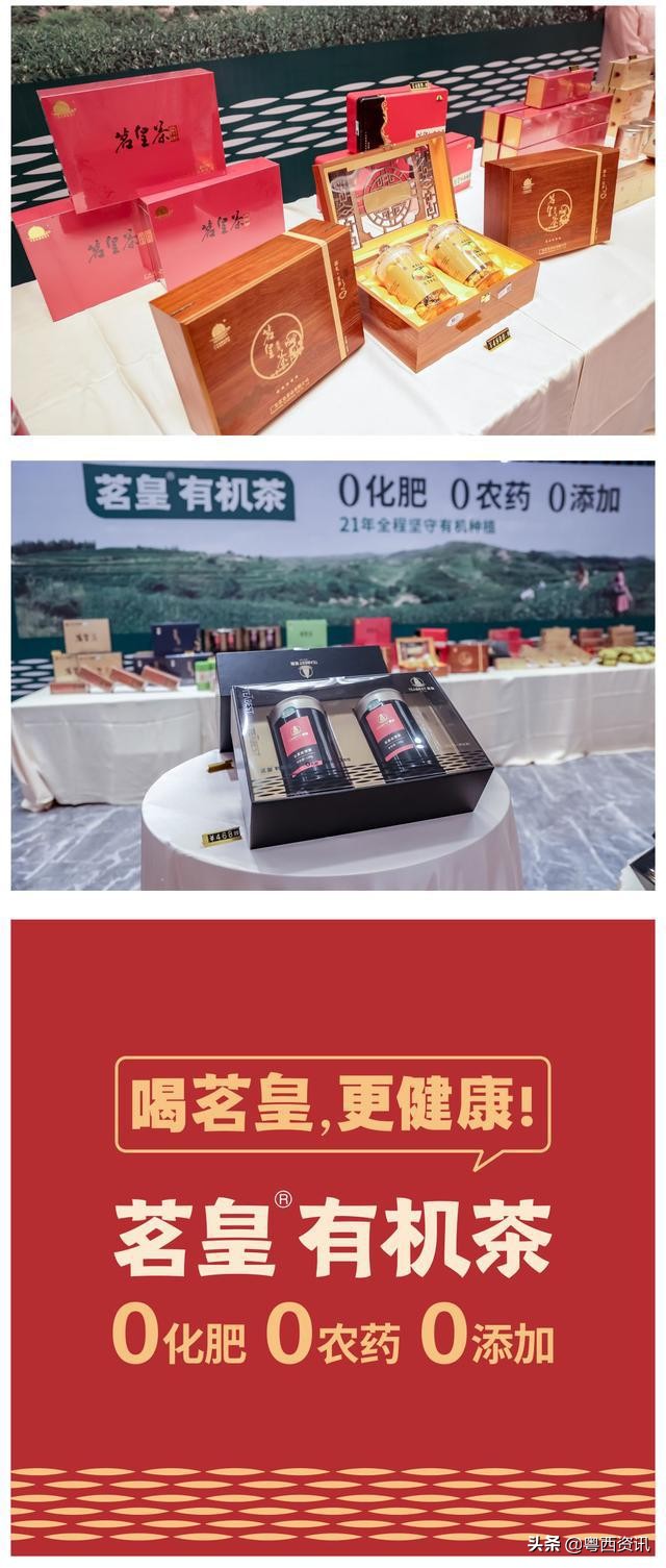 广东茗皇茶业,广东茗皇茶直播