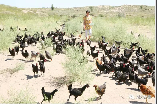 45万奈曼人的名片，太漂亮了！除了中华麦饭石你还知多少？