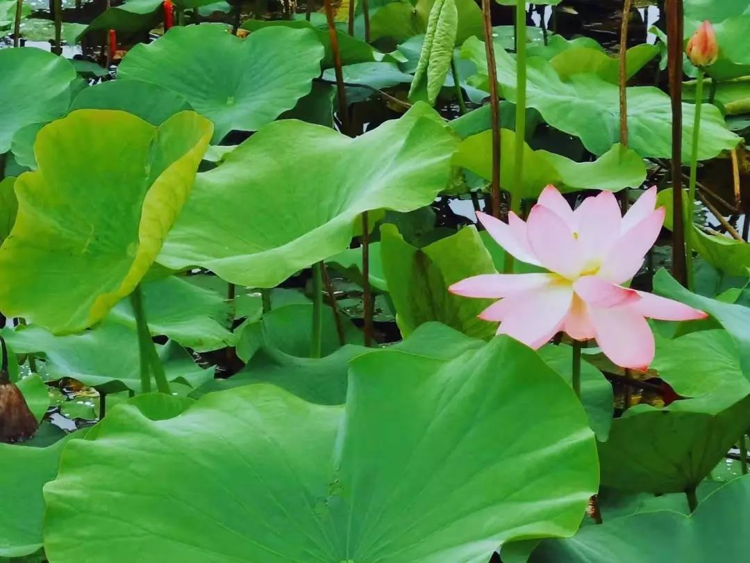 璐甸槼26掳c,26搴︾殑璐甸槼