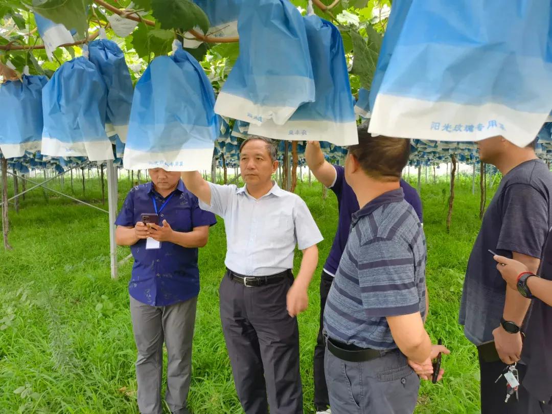閮戝ぇ浜戝垱鍐滀笟缁忕悊浜哄煿璁彮,閮戝窞澶у鍐滀笟缁忕悊浜哄煿璁彮