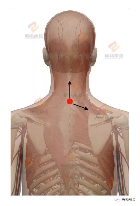 脖子难受怎么办呢,脖子不舒服该怎么办