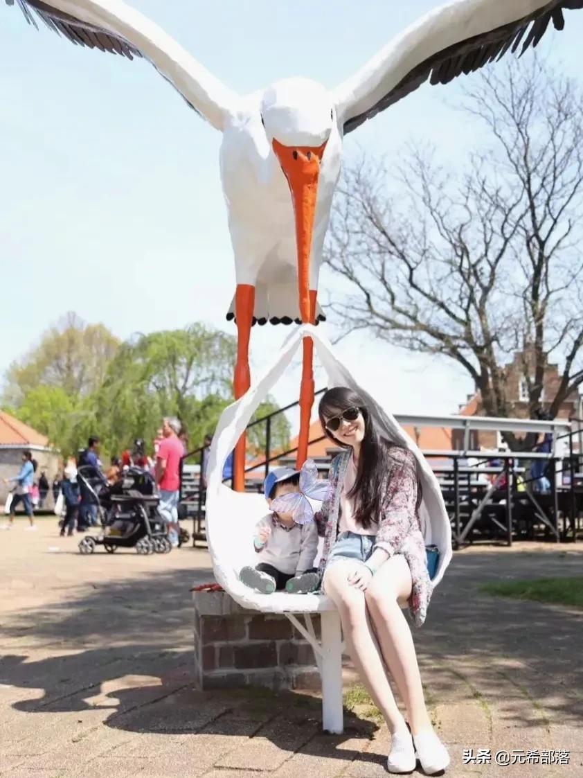 荷兰小镇郁金香盛开,荷兰小镇郁金香花海