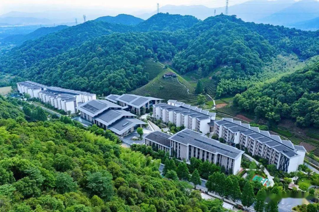 大龄单身女性如何养老,单身人士如何养老