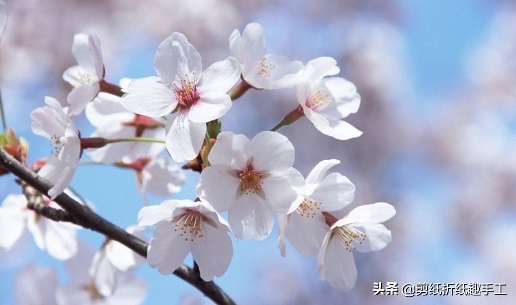 六一儿童节雪花剪纸手工礼物,六一儿童节的手工怎么剪简单