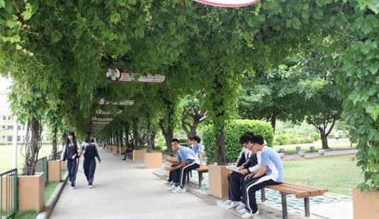 深圳华胜实验学校入学,深圳华胜实验学校小学怎么进