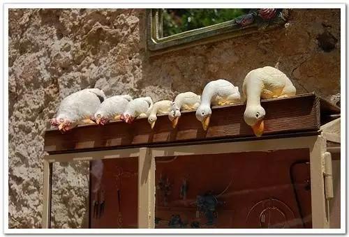 汪曾祺黄油烙饼,汪曾祺生鸡活鸭