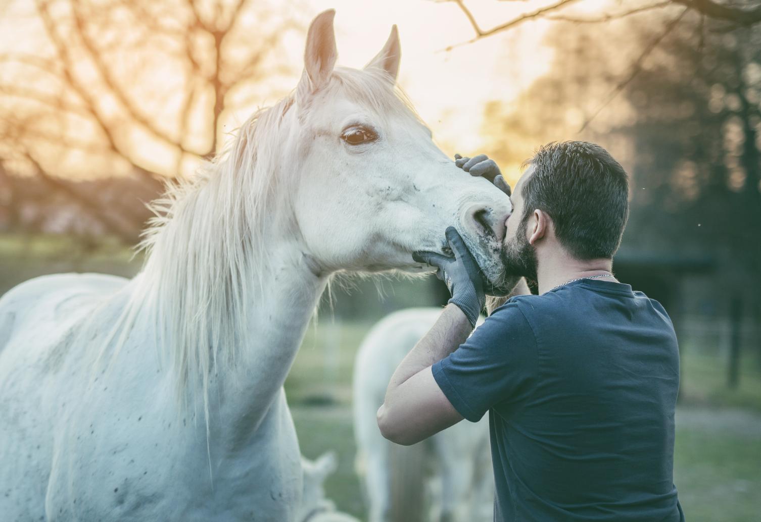 学习pS简单吗,学习ps中存在的问题