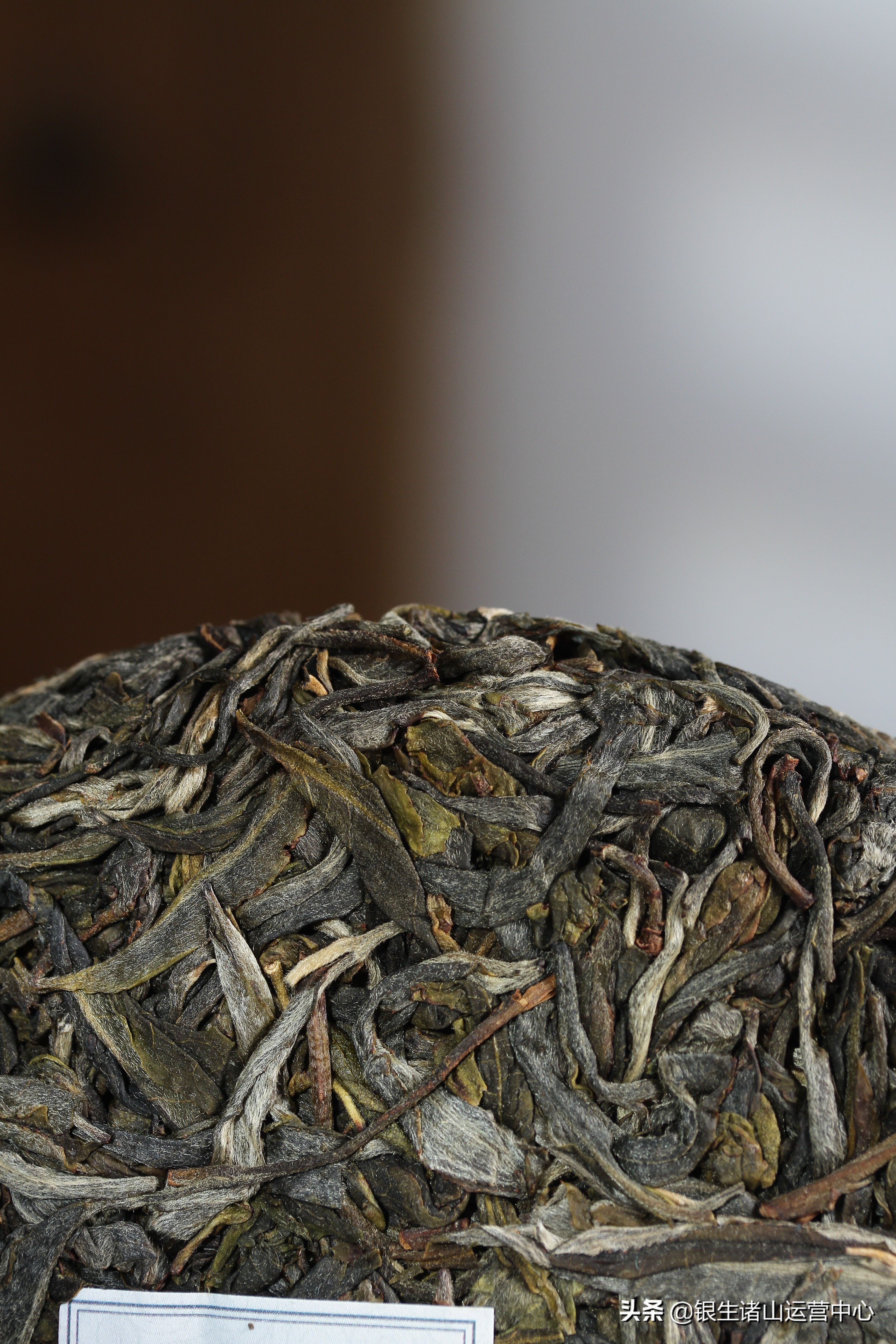 閾剁敓璇稿北鐮栬尪,閾剁敓璇稿北鑼跺彾