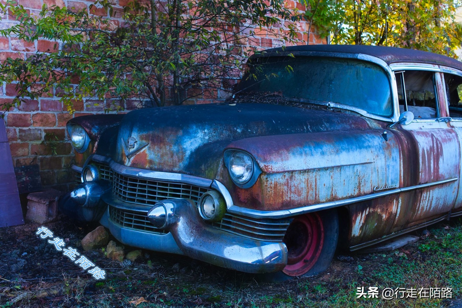 最值钱的废品,最值钱的废品回收