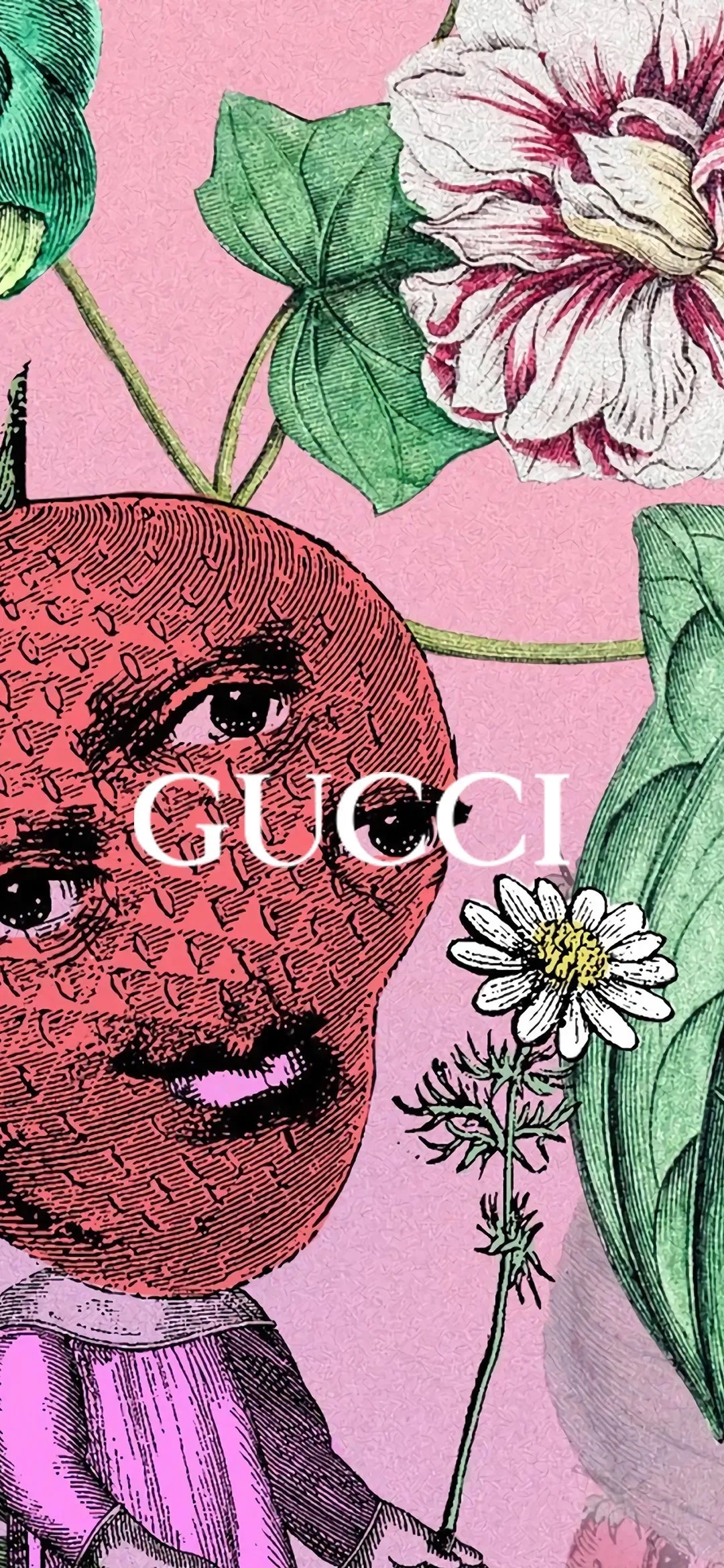 巴宝莉monogram壁纸,巴宝莉经典配色壁纸