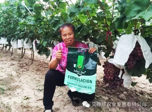 爱农服务一切为农,爱农懂农为农服务