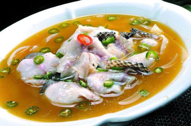 财鱼:长得吓人,凶猛又爱吃鱼,离水3天不死,却是“鱼中珍品”