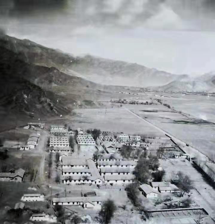 在*藏西**,我们的第三*战野**医院,我们的芳华……