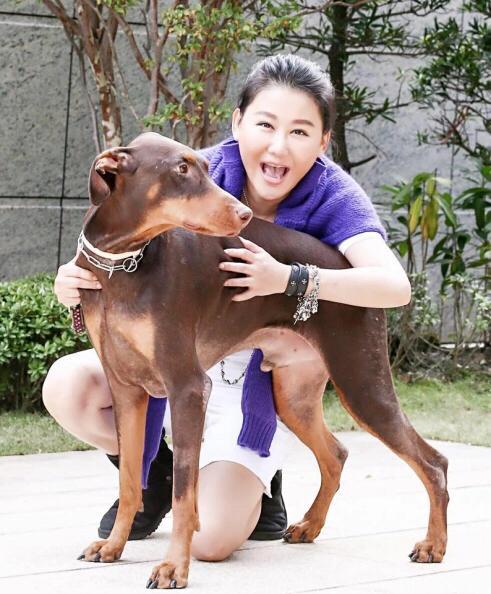 蓝心湄林美好,蓝心湄的婚姻状况