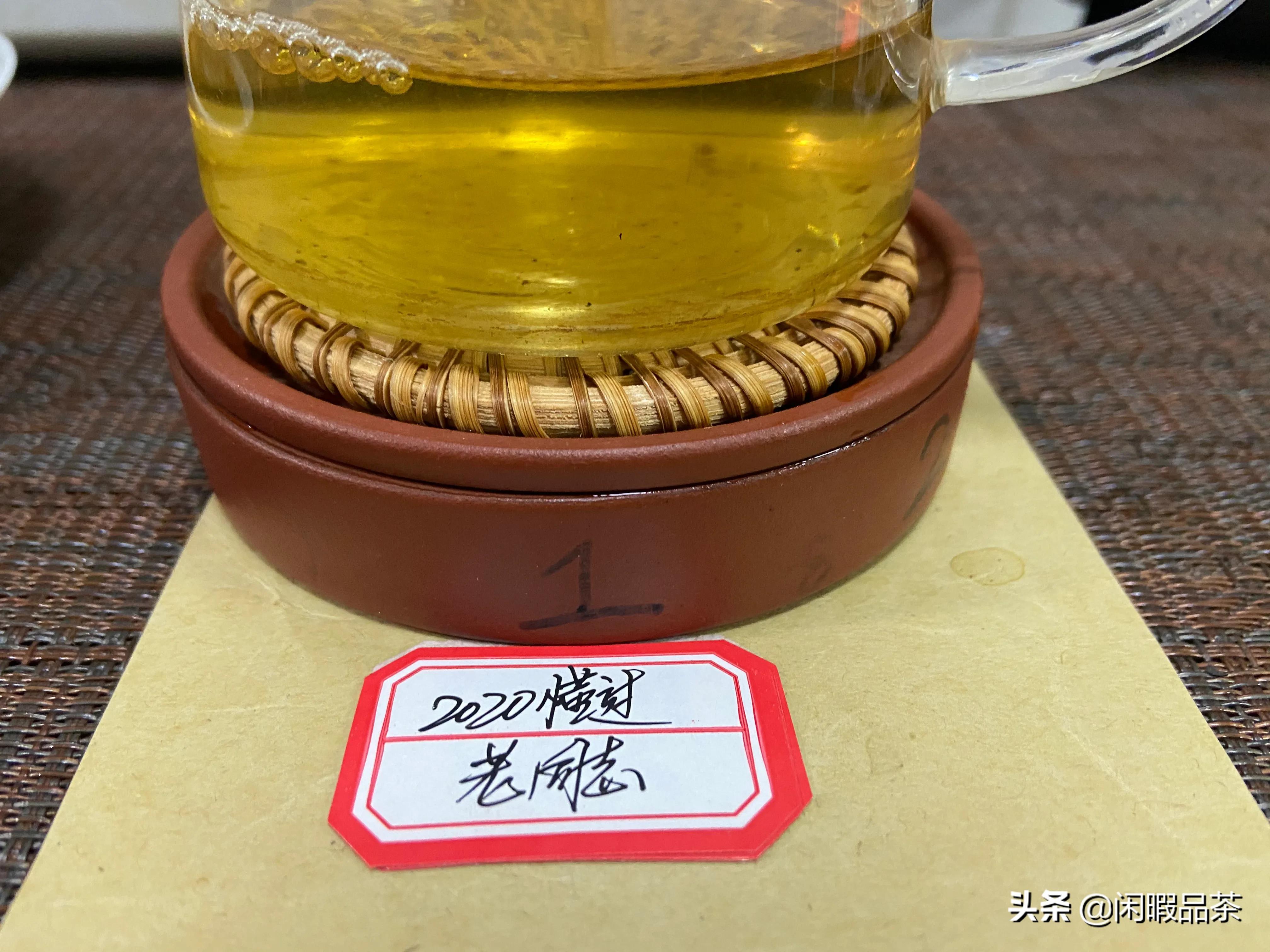 [闲暇品茶]第21-04期2020老同志懂过生普（中山起湾）