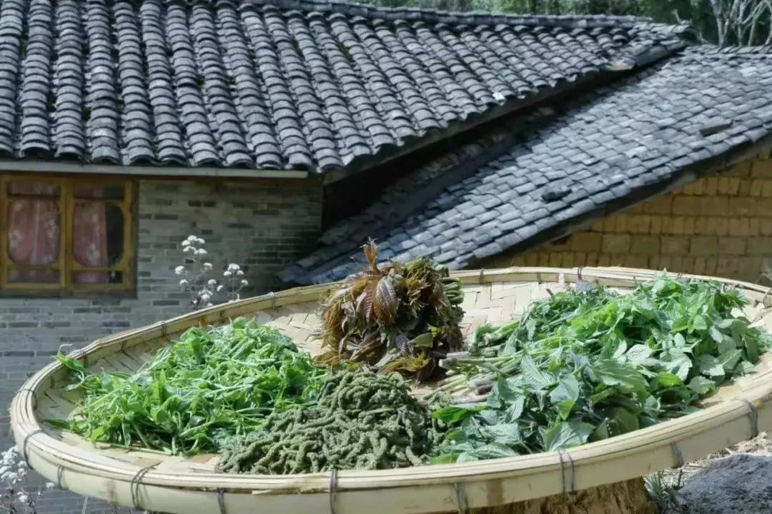 腾冲可以玩可以吃环境好的农家乐,腾冲花海美食