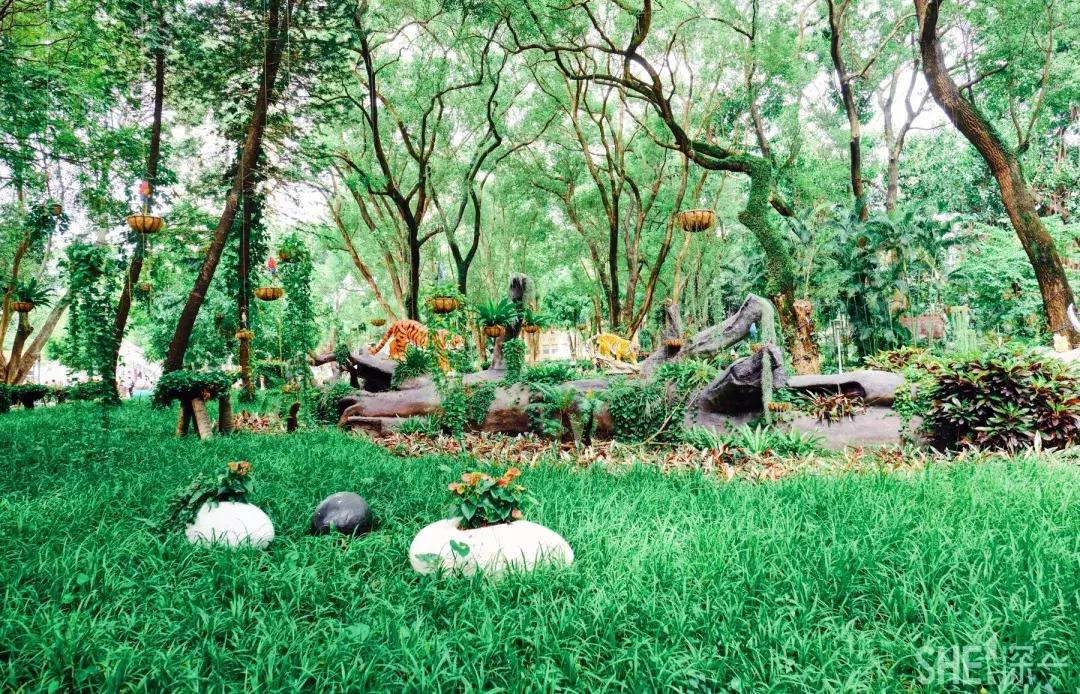 这里是东方世界,这里是东门英语怎么说