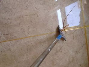 1分钟学会美缝，省下几千块施工费