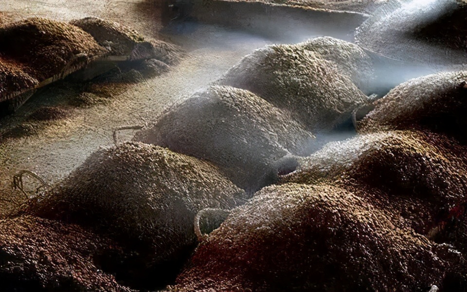 喝了一杯二锅头呛得眼泪流,一杯二锅头呛得眼泪流歌词