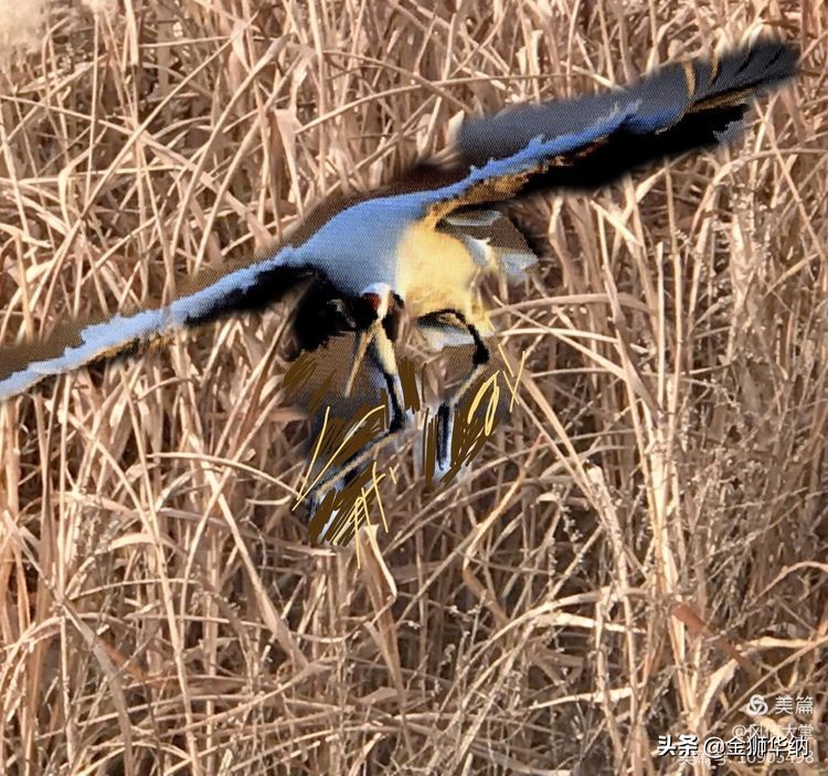 刘岚先生作品欣赏,画家刘岚作品