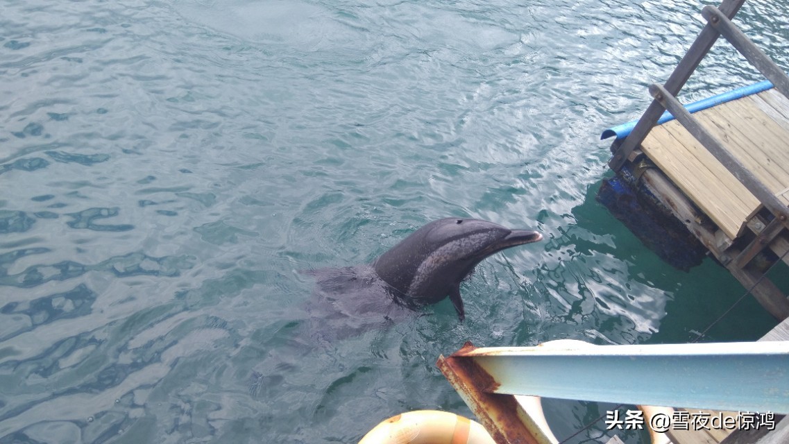 海南三亚分界洲岛,海南三亚之分界洲美景