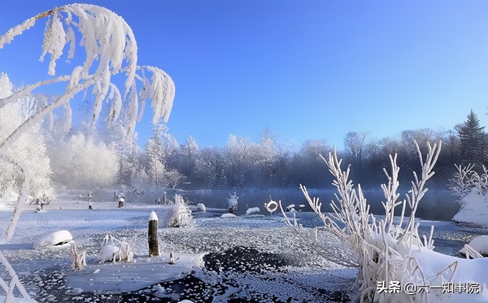 许家印深层解析,许家印恒大百年豪门