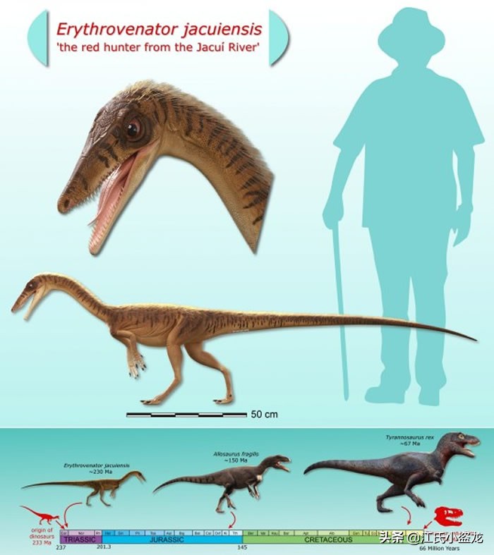 古生物时代有多少种恐龙,人类已经发现了多少恐龙种类
