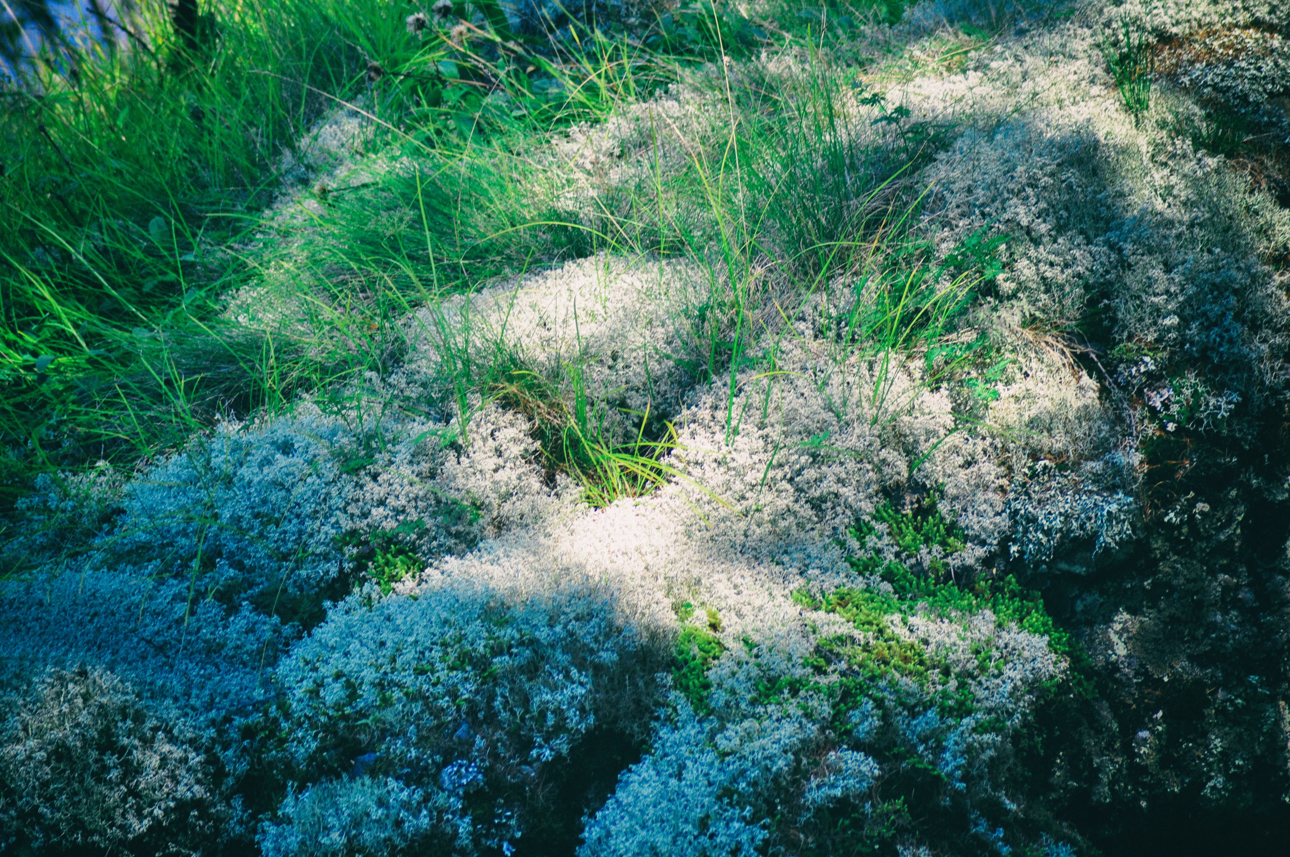 被称为东方瑞士的地方,号称东方瑞士