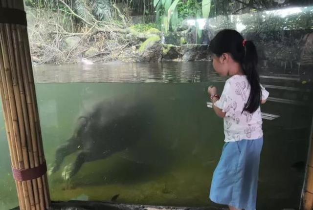 99%辣妈必选的新加坡亲子游,新加坡亲子游攻略自由行订票