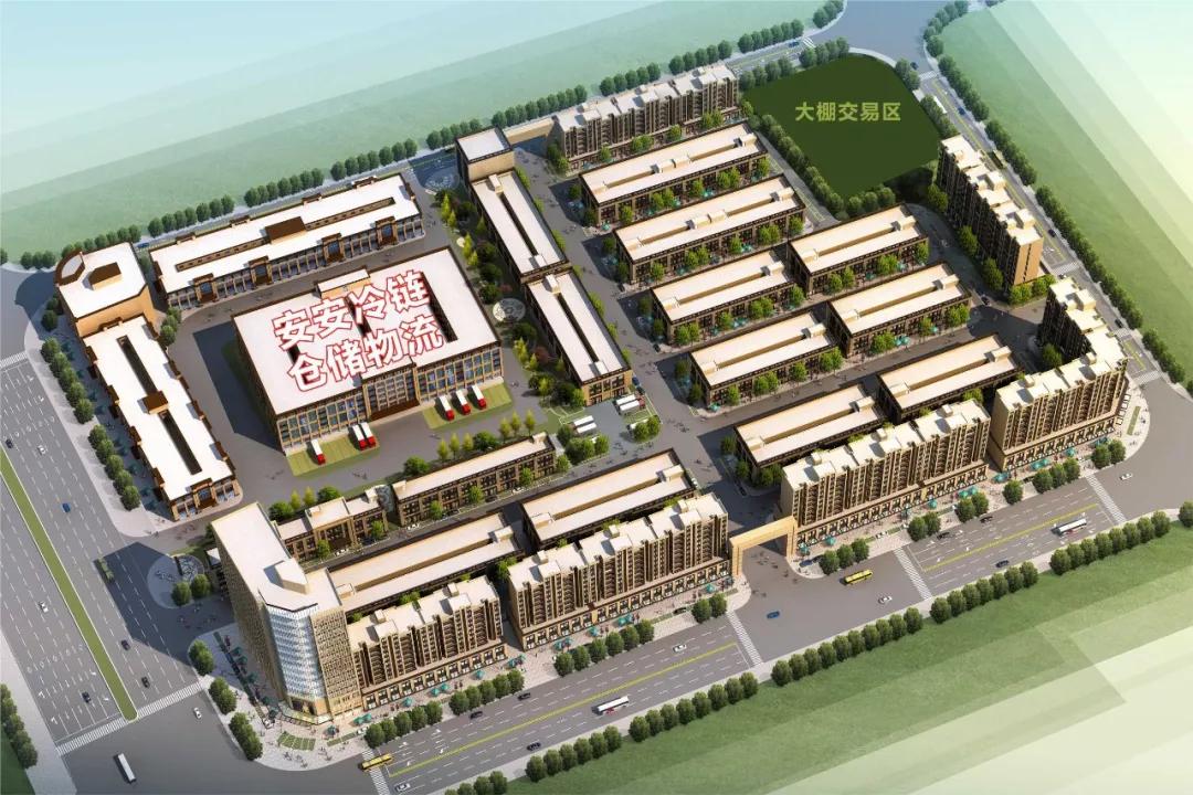 邵东产业园水果市场,邵东水果市场最新消息