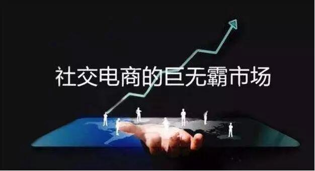 社交电商的“比基尼”，被云集跑出会员的力量