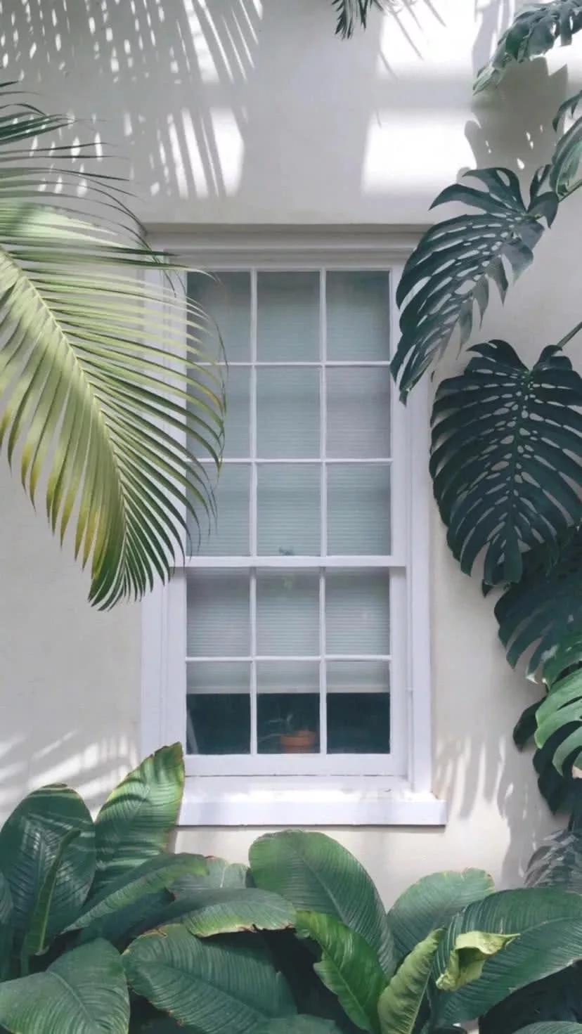 高清iphone壁纸动漫,iphone原生壁纸高清官方