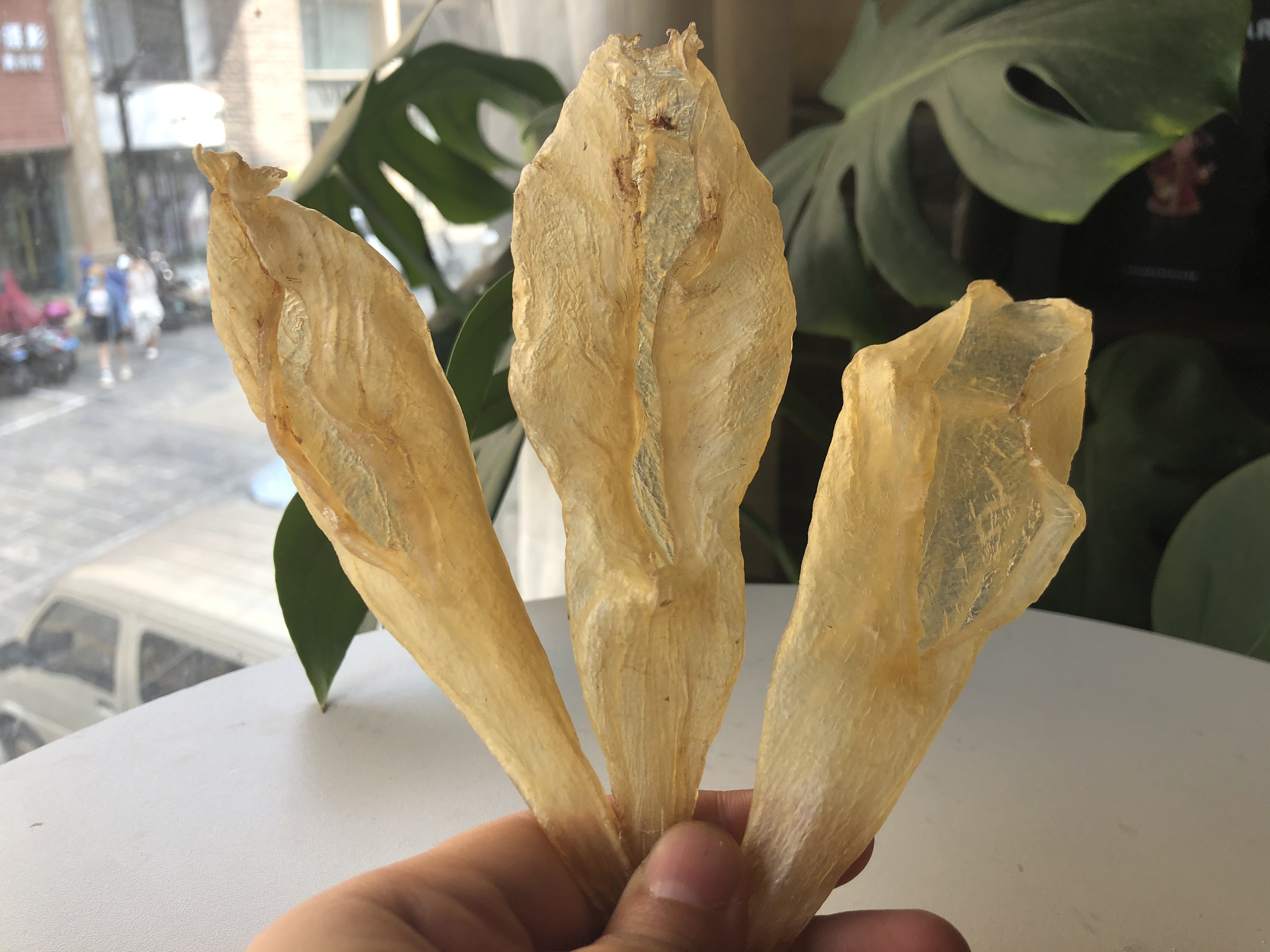 家庭食用哪种黄花胶比较好,官栈轻食花胶和即食花胶区别