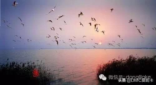 天津东丽湖,天津东丽湖规划最新