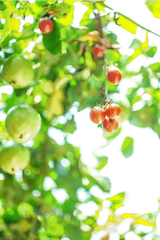 深圳「废弃染布厂」变废为宝，化身“湖畔花园”美若世外桃源！