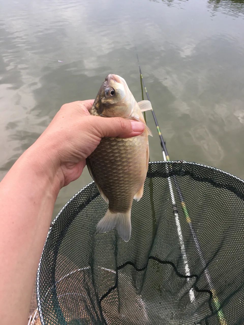 走进北京蟹岛垂钓园,蟹岛垂钓园联系方式