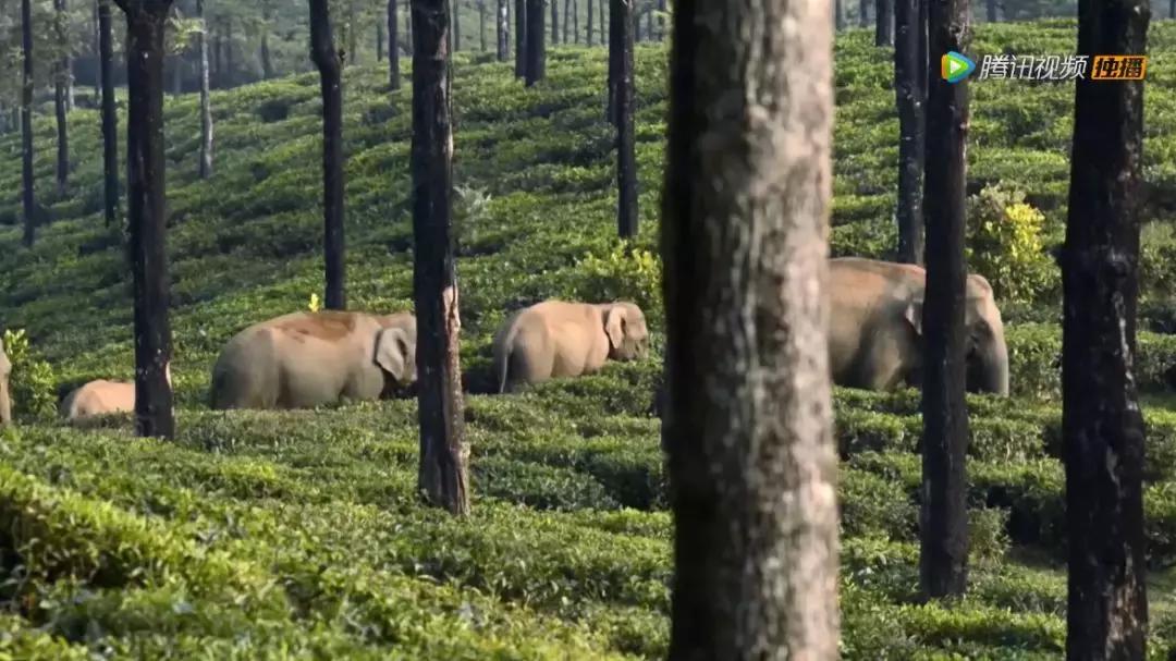 人在逆境要懂得坚持,面对逆境向阳而生