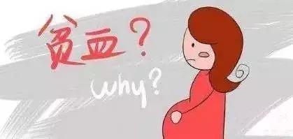 成人贫血吃什么药又补铁又补血,孕妇贫血补铁还是补血好