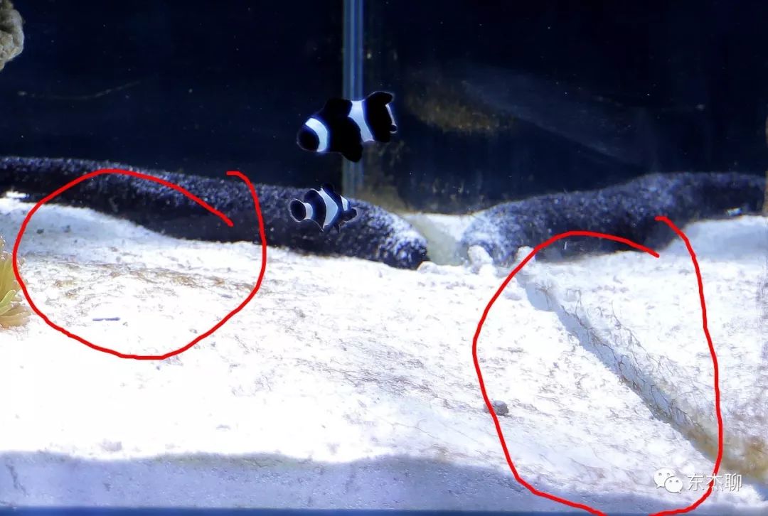 光说不练假把式图片,光说不练假把式怎么回复