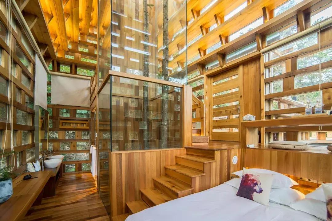 杭州1.5h就有不输清迈的丛林树屋