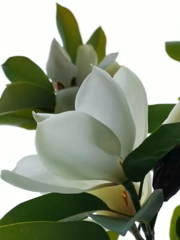 手拍世界完整版视频,手拍世界作品专集