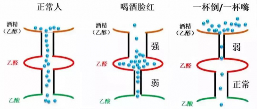 澶╂触寰嬪笀娲己,娲己寰嬪笀
