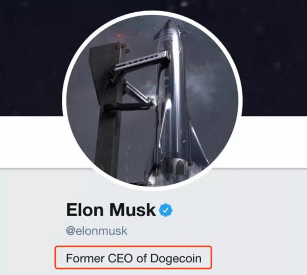 狗狗币成币圈新宠,币圈最新消息狗狗币