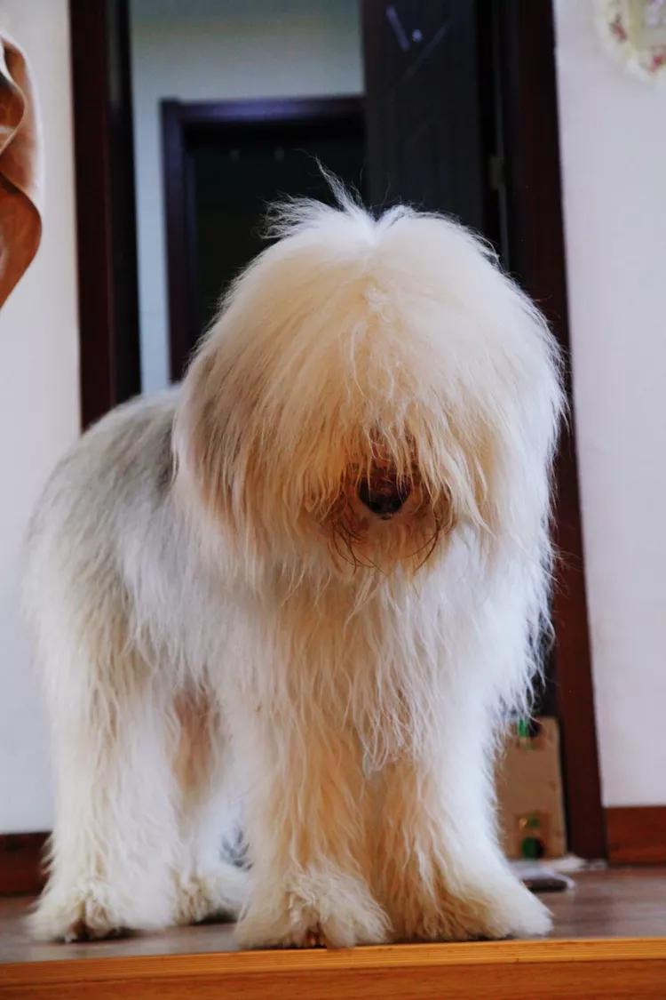 尼康入门单反,单反快速入门攻略