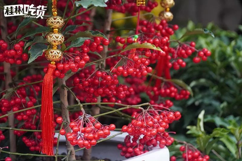 桂林市春节年货一条街,桂林有哪些年货市场