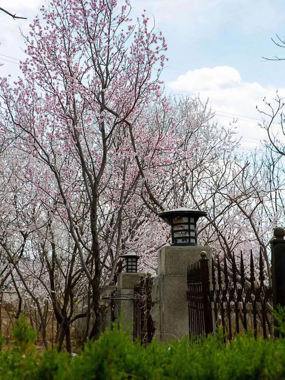 辽宁省民办大学,辽宁理工学院是民办吗