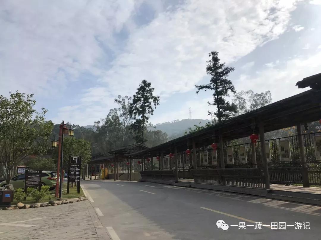 福州闽侯旗山温泉,福州旗山森林温泉度假村团购