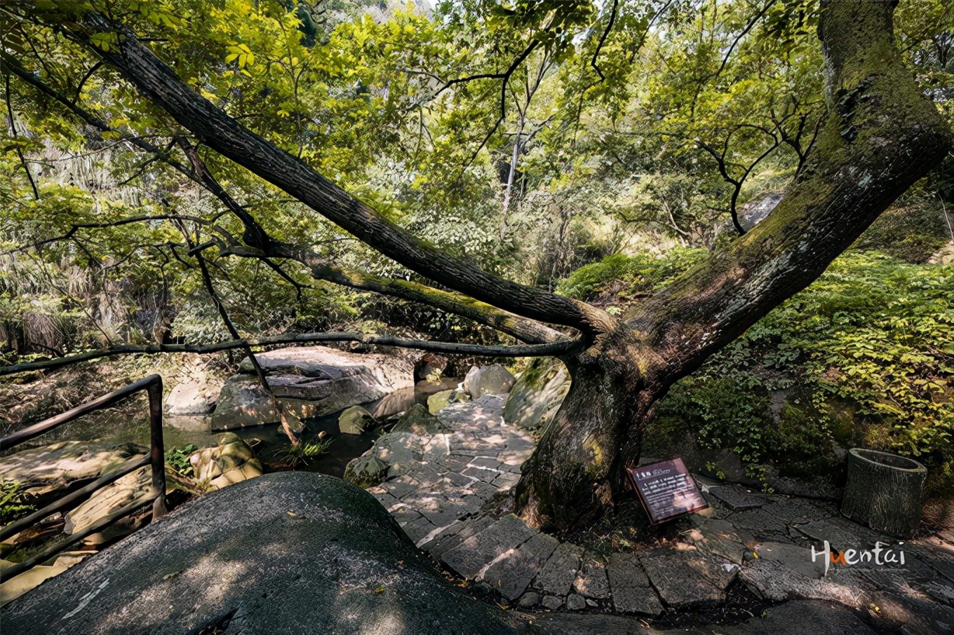 莲花佛国池州,九华山莲花佛国图片