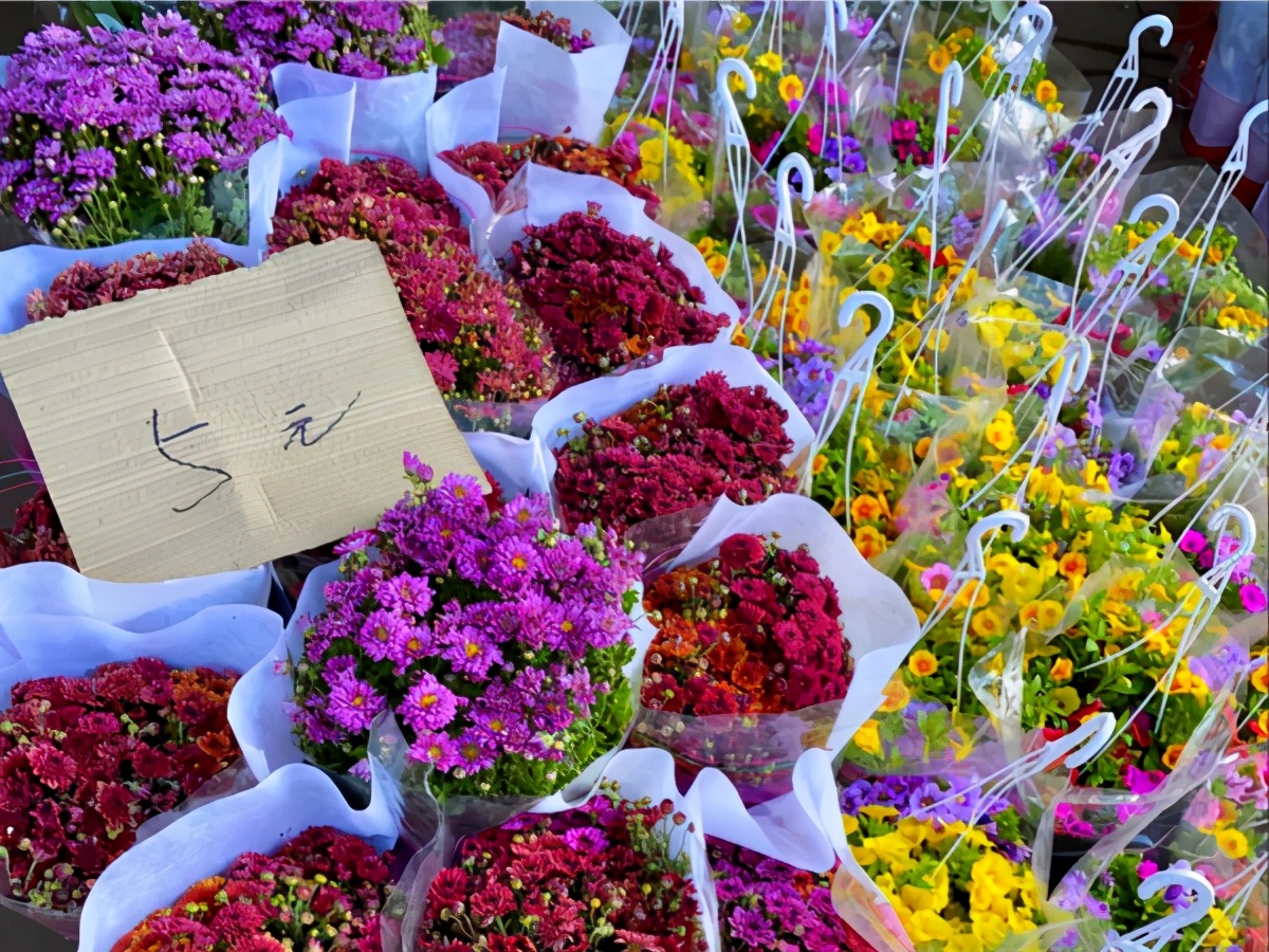 春天去花市买什么花最便宜 (10月适合在花卉市场买的花)